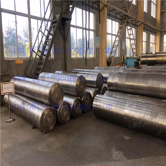 これ/これ/これ/レガ ディ ティターニオ